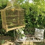 Old bird cage