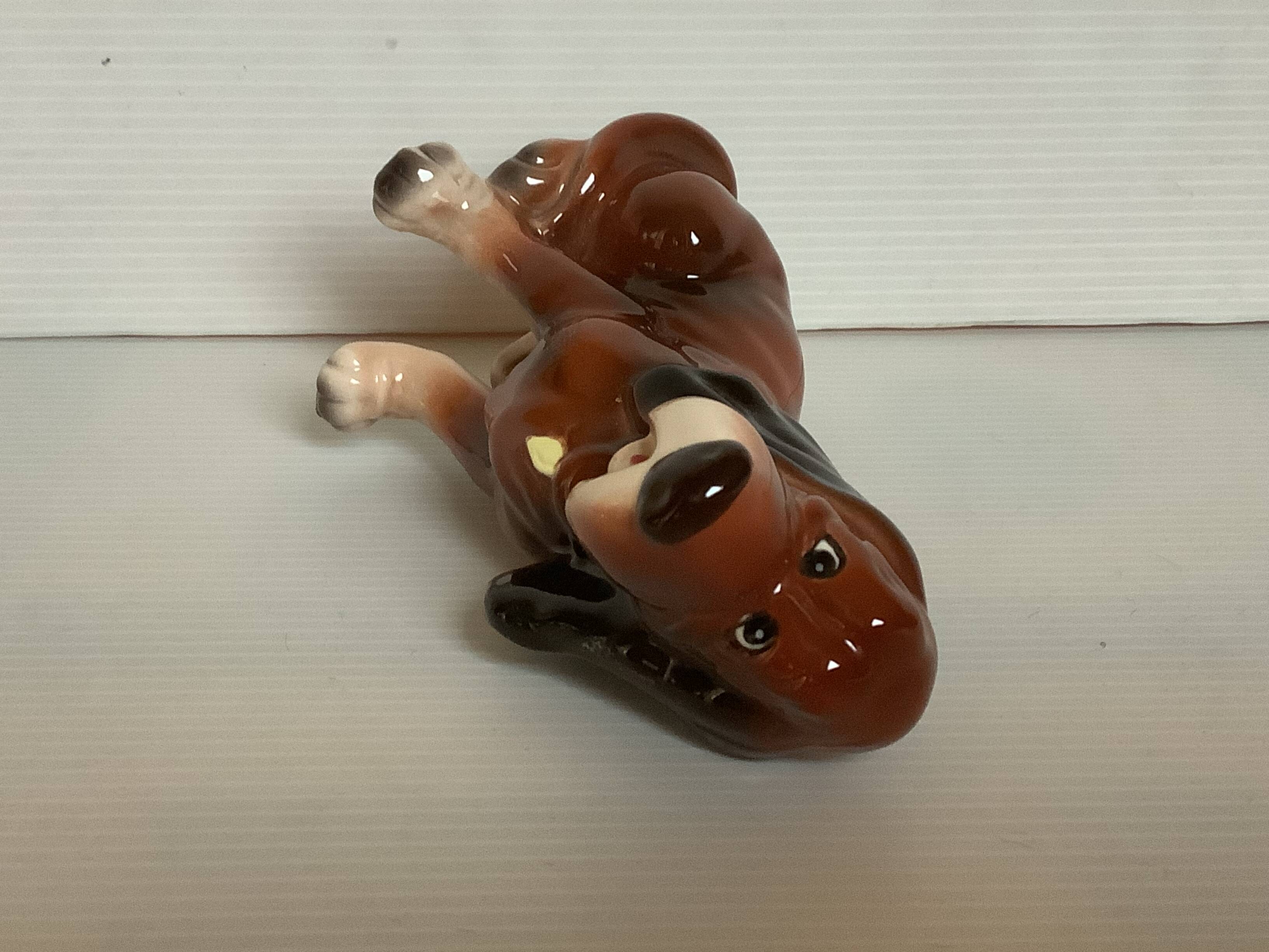 Saint Hubert hunting dog