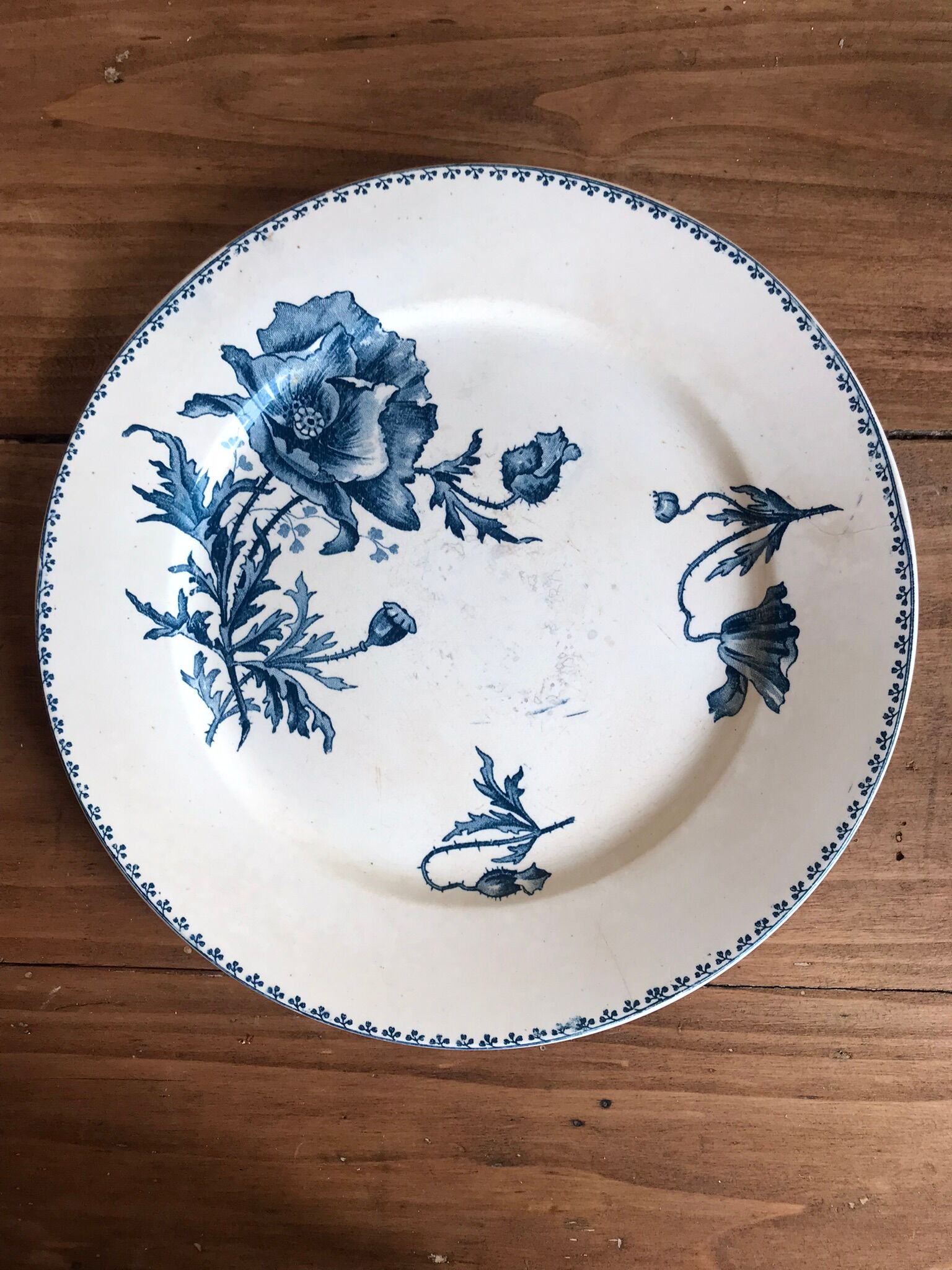 Flat plate U&C Sarreguemines - model Féria