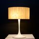 Eva Renée Nele, Temde "Tulip" Lamp