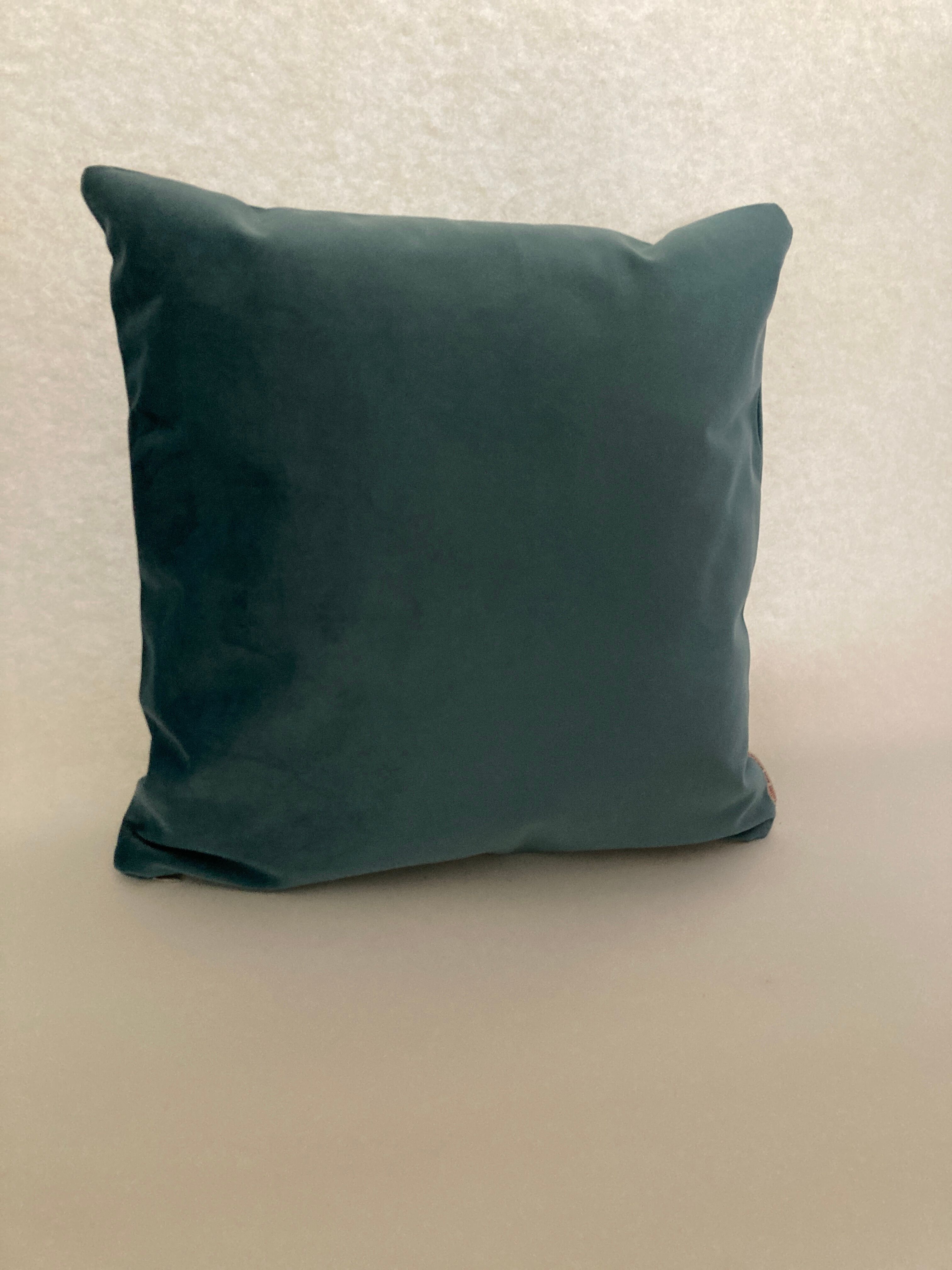 Green water velvet cushion