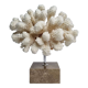 Old white coral on marble base, 20 cm