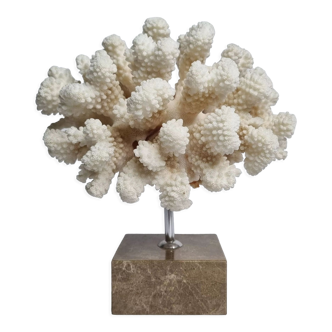 Corail blanc ancien sur socle en marbre 20 cm
