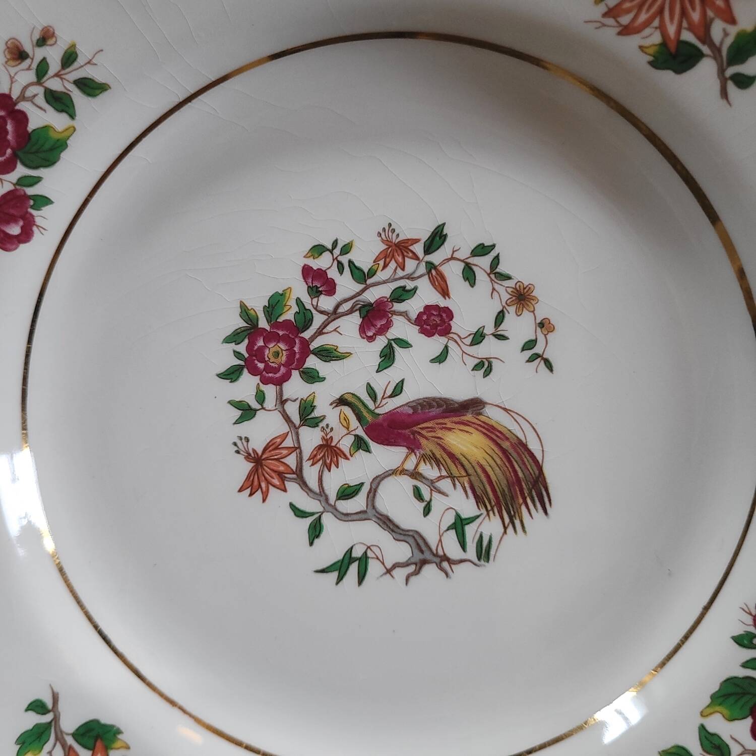 Porcelain dessert plates with bird decoration – Gressey 50s