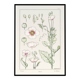 “Poppy” poster, after an Art Nouveau lithograph from 1897