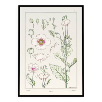 “Poppy” poster, after an Art Nouveau lithograph from 1897