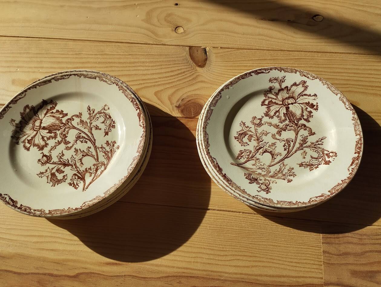 Datura plates iron earth