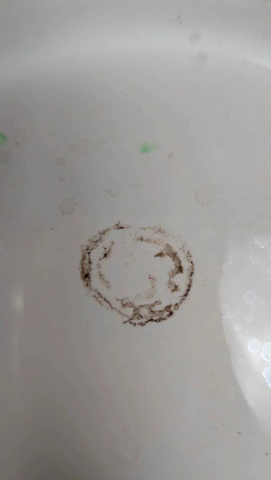 Large antique shell-shaped dish – iridescent finish