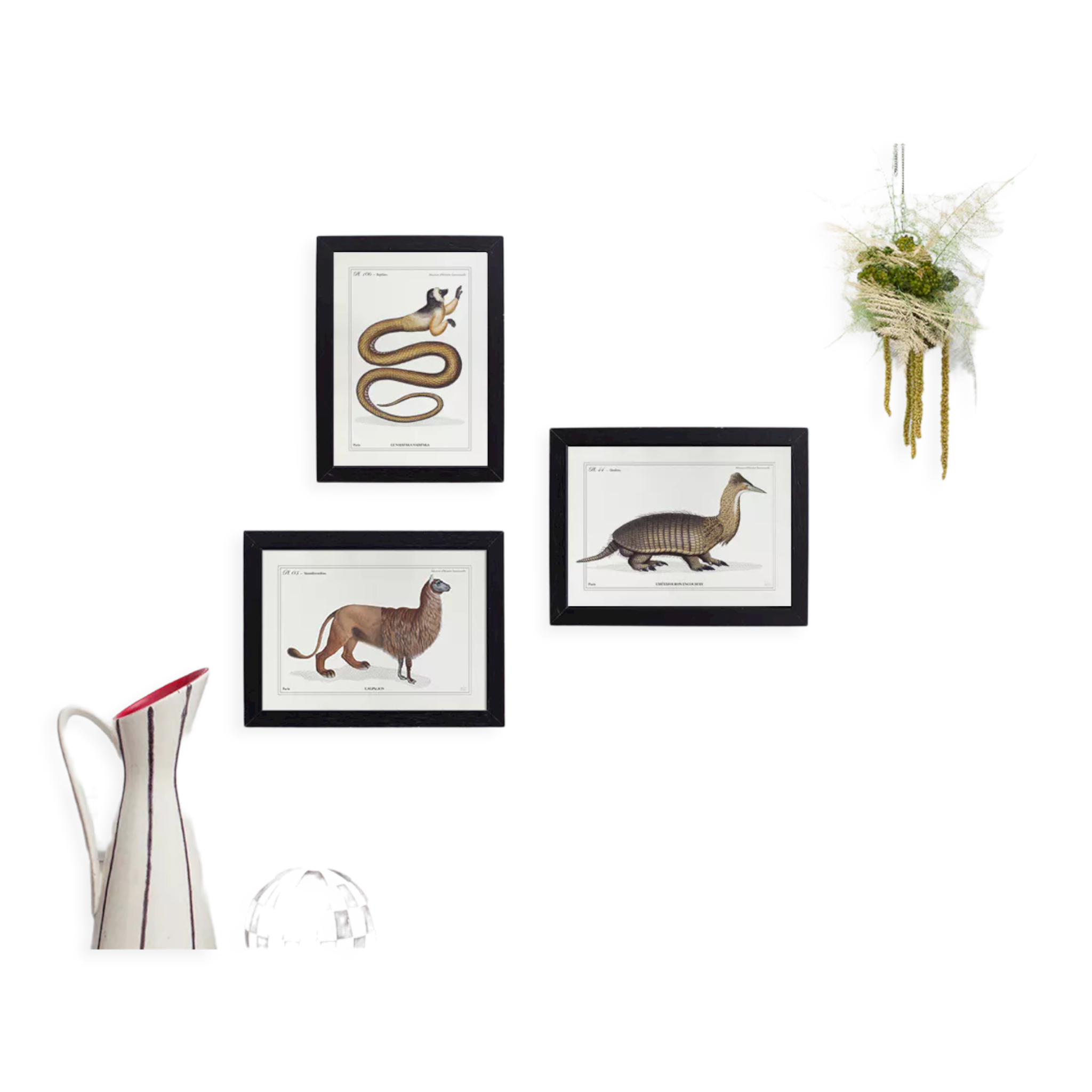Set of 3 chimeras lithography animal engraving