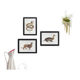 Set of 3 chimeras lithography animal engraving