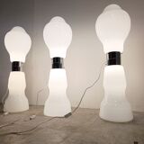 Vintage carlo Nason floor lamps, 1960s