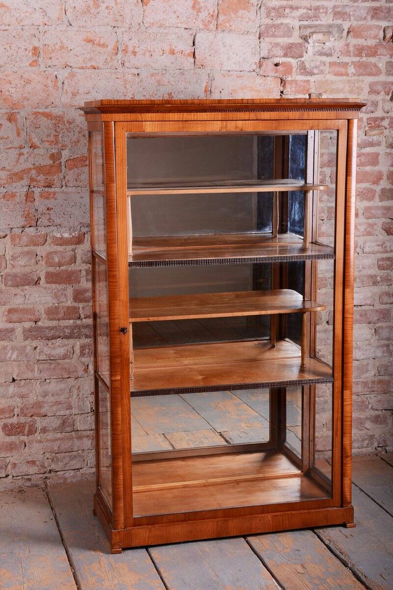 Antique Biedermeier Display Cabinet in Spruce, 1830s