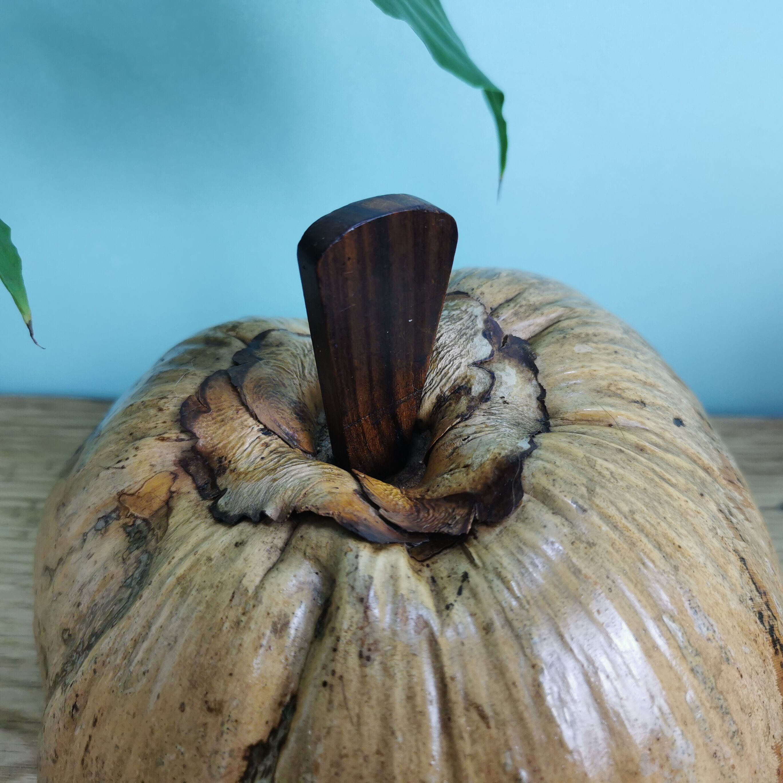 "Coconut" ice bucket