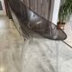 A Mister Impossible Chair by Philippe Starck for Kartell 90