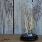 Round glass globe 35 cm high