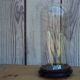 Round glass globe 35 cm high