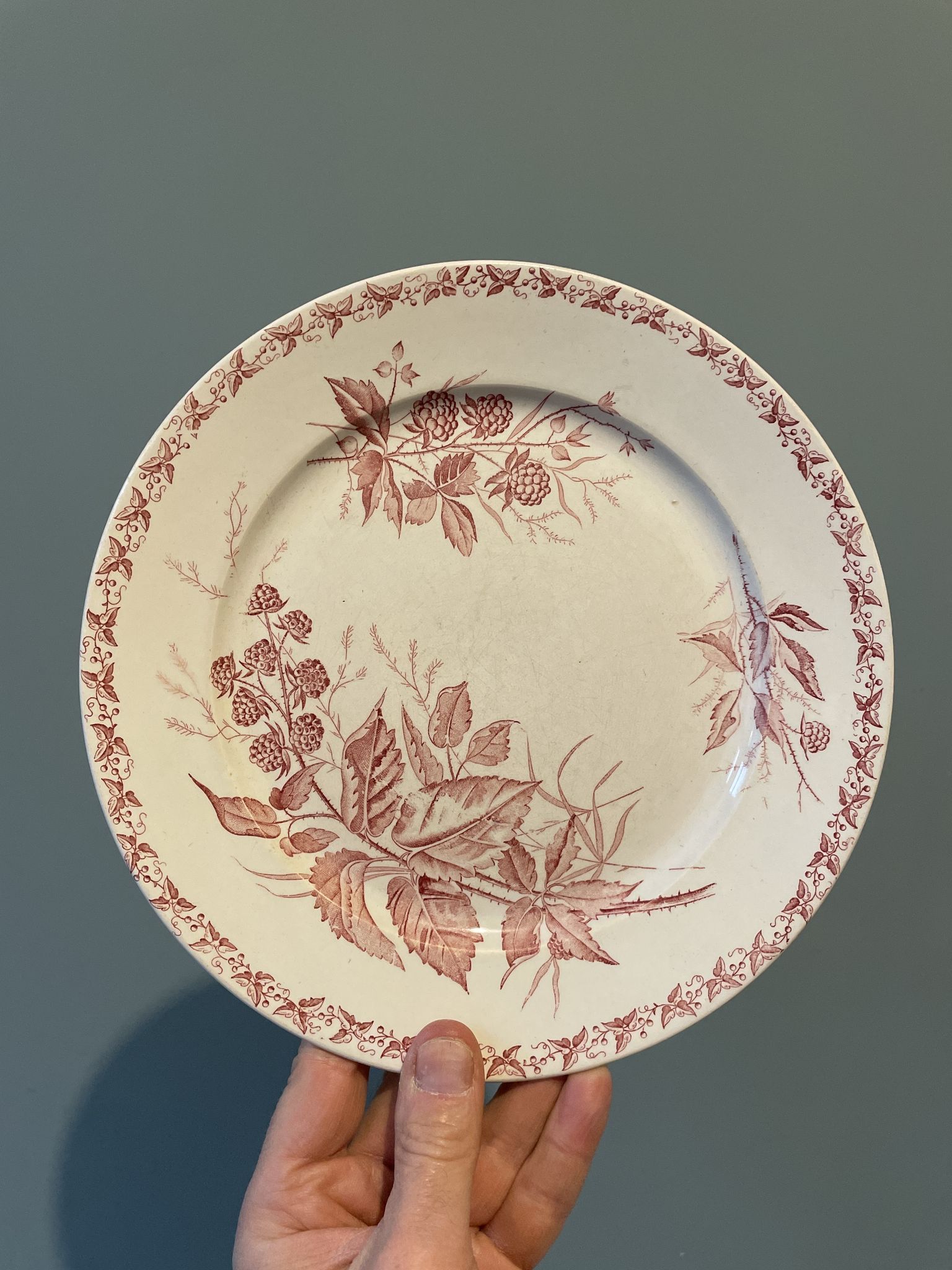 Set of 4 old flat plates Terre de Fer, earthenware of Badonviller