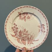Set of 4 old flat plates Terre de Fer, earthenware of Badonviller
