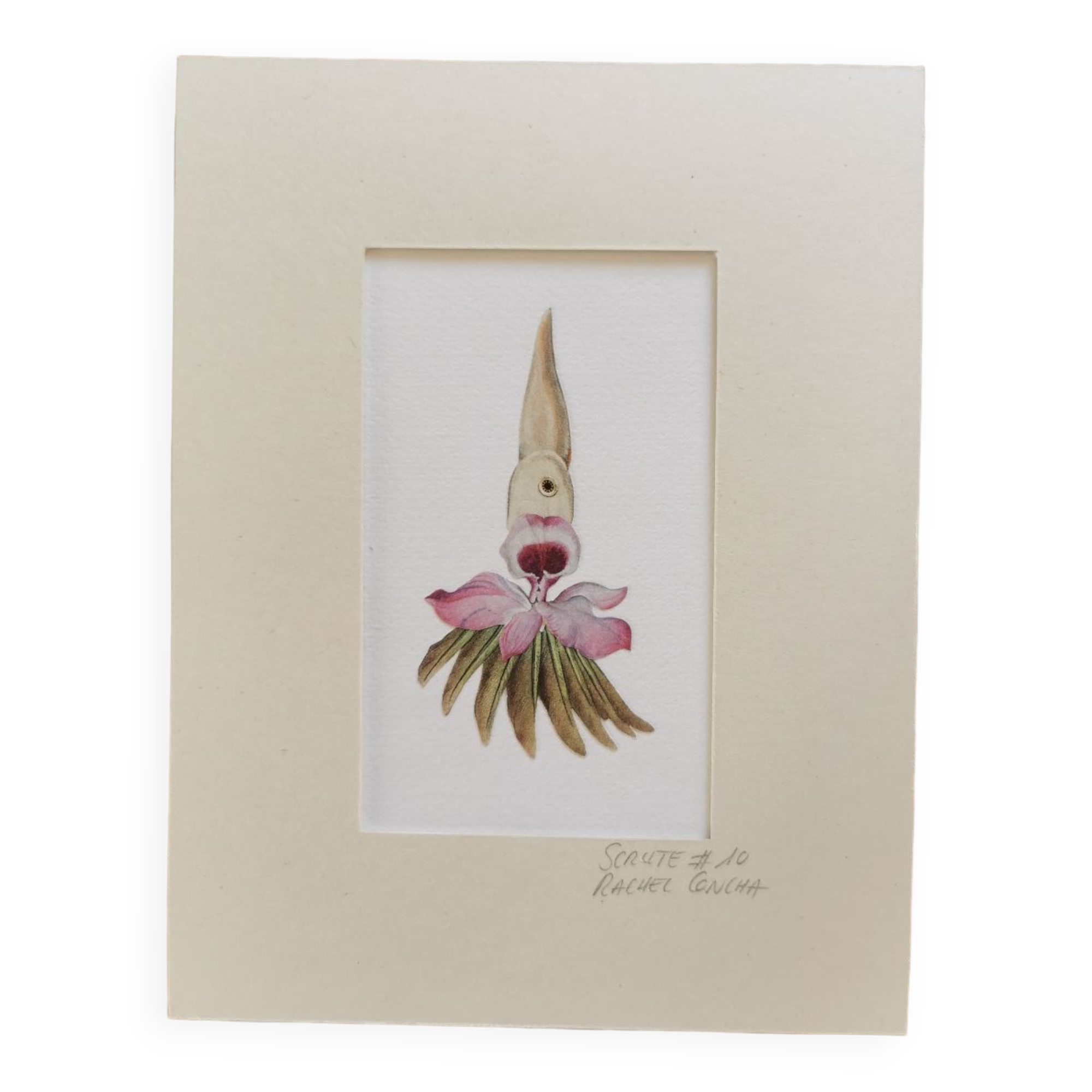 Collage illustration