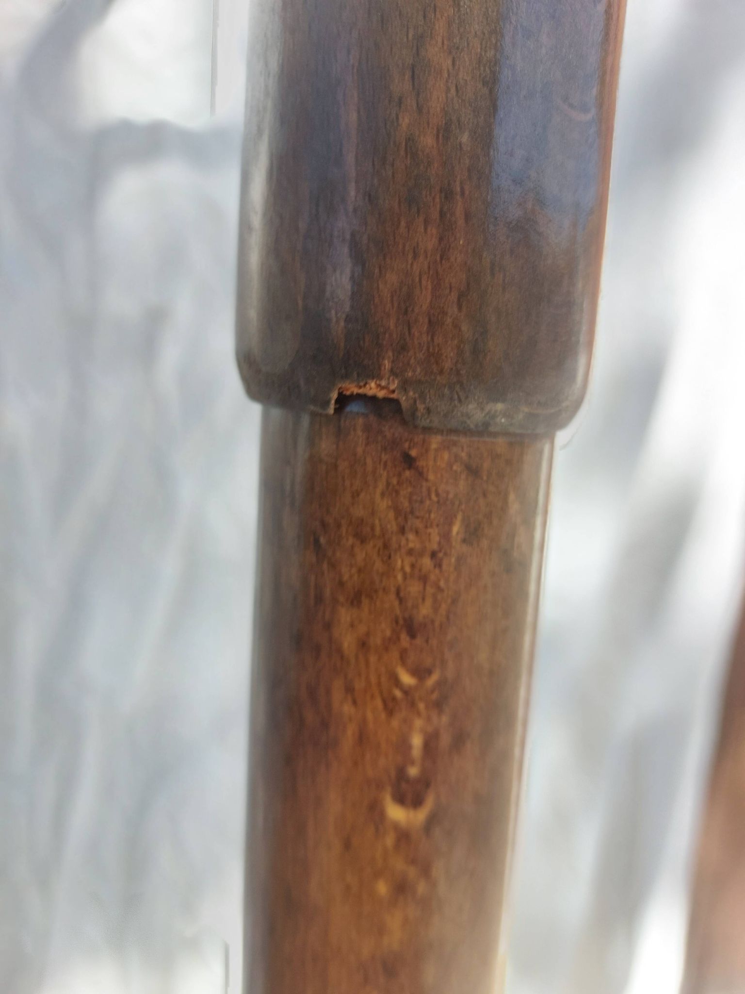 wooden parrot coat rack, bistro, vintage