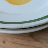 Orchies Moulin des Loups Plates