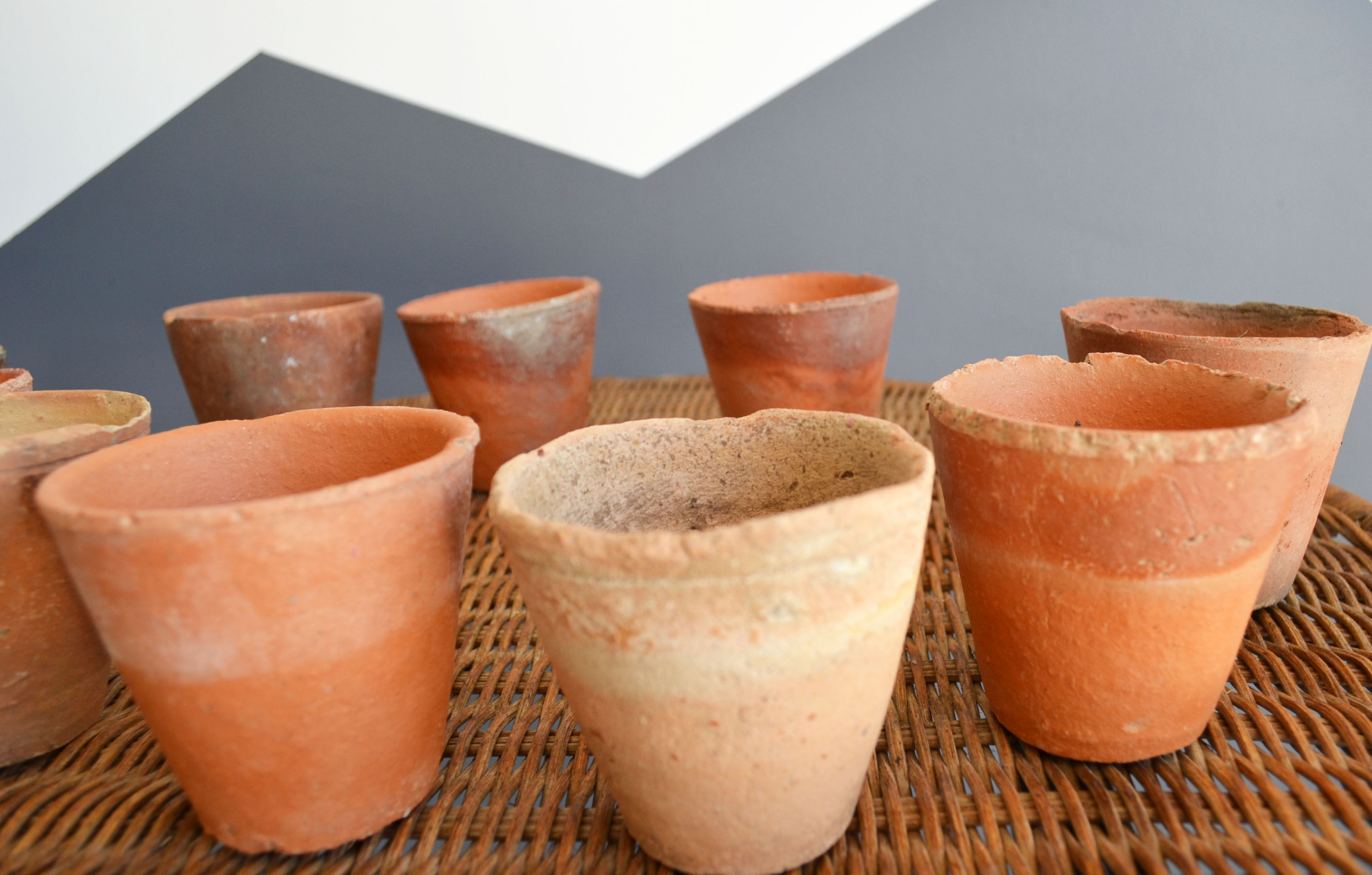 10 old seedling pots