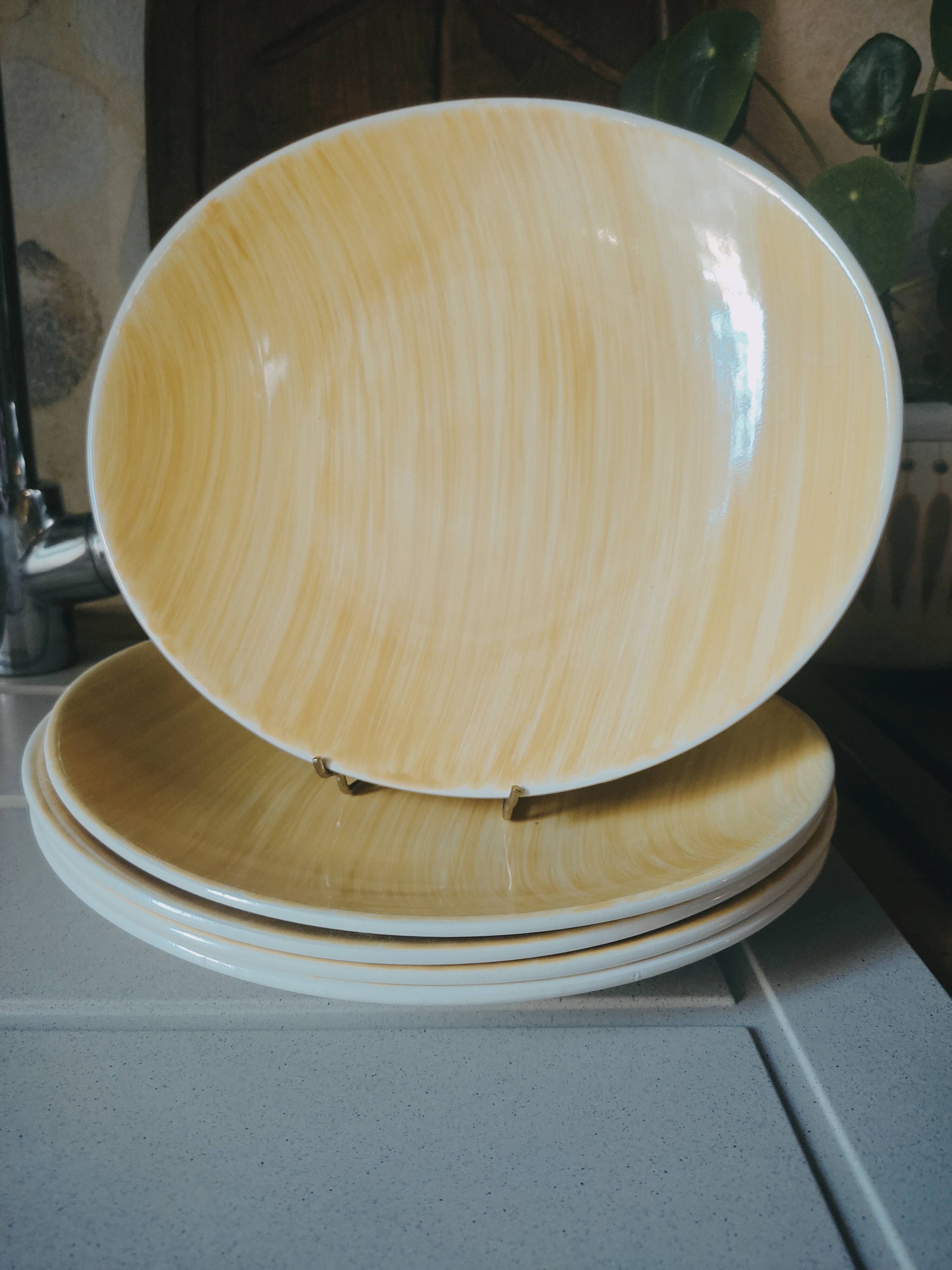 5 oval plates Aquilon by Salins