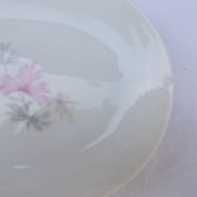 Ceramic service with 5 dishes