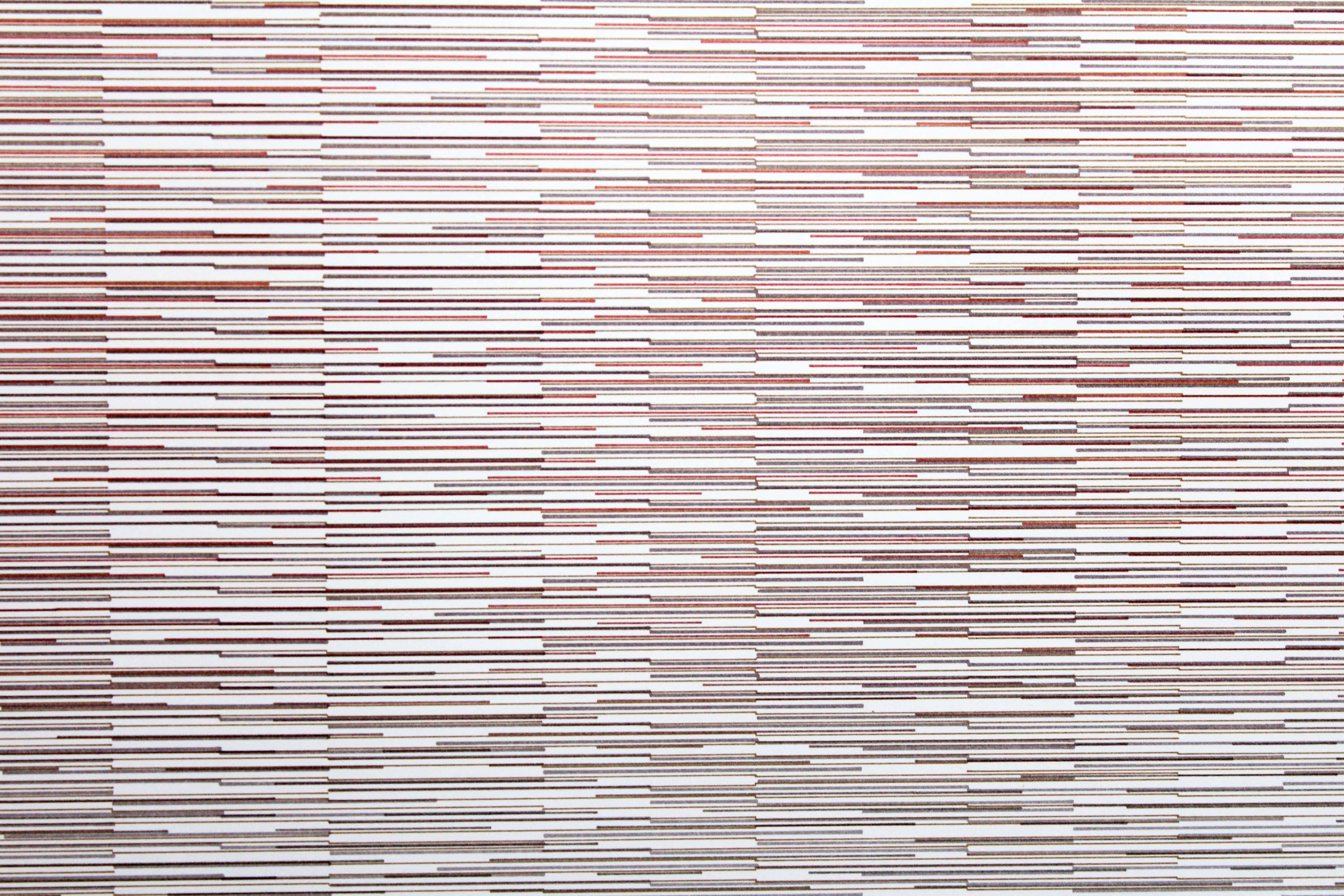 Manfred Maier Printing 1976