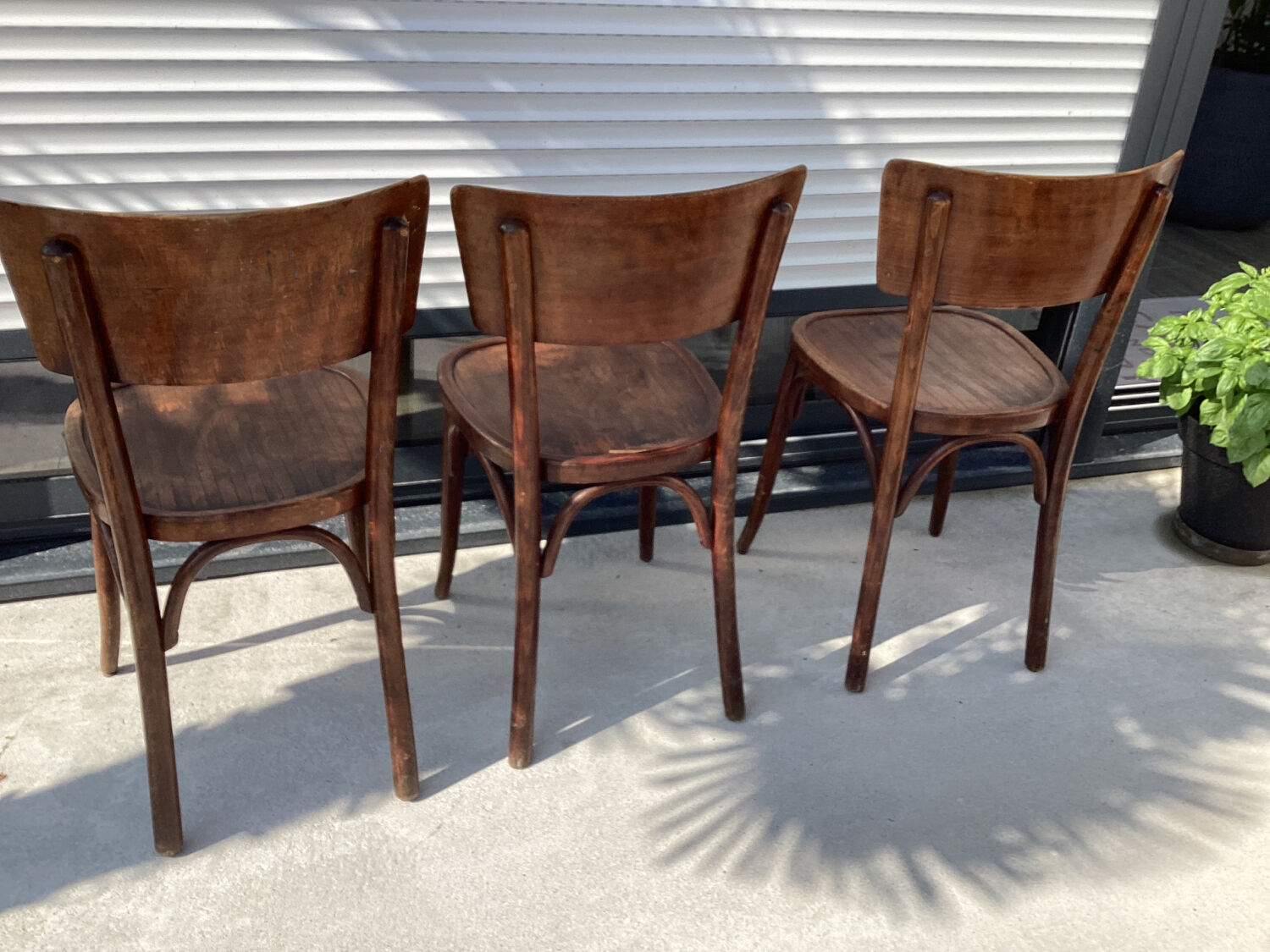 Baumann bistro chairs