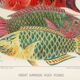 Poster about the fish of the Great Barrier Reef, 1893
