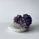 Grand vase plat forme lentille