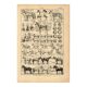 Gravure ancienne de 1923 - Anatomie et races du cheval par A. Millot
