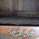 Marquetry library in Transition style Louis XV / Louis XVI