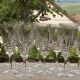 Set of 10 VILLEROY ET BOCH crystal liqueur glasses. Concorde model.