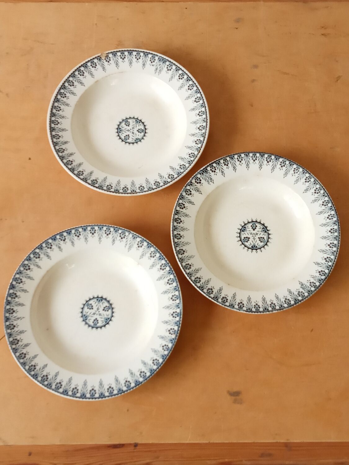 Three soup plates in Terre de fer, Sarreguemines, Algiers