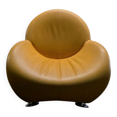 Fauteuil ''Papageno'' par Jan Armgardt pour Leolux – Circa 1970