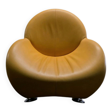 Fauteuil "Papageno" par Jan Armgardt pour Leolux – Circa 1970