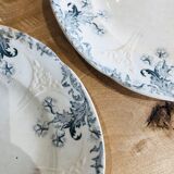 Assiettes plates Longwy