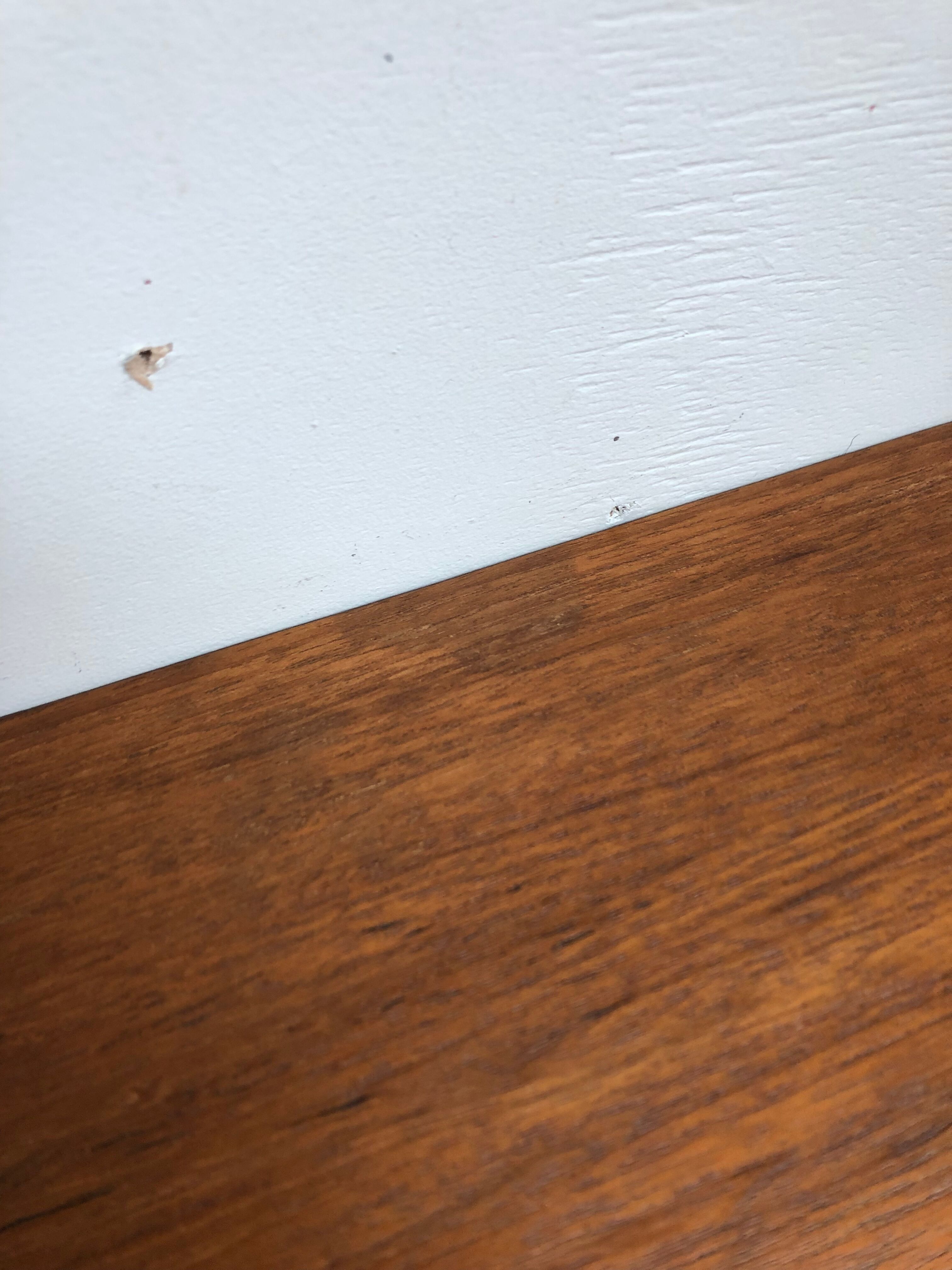 Pair of wall bedside tables