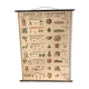Old school card "bildtafel zur vorgeschichte" vintage chronology