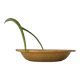 Glazed stoneware dish
