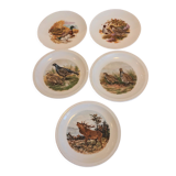 set of 5 plates Bavaria
