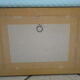 "American Wigeon" lithography with framing