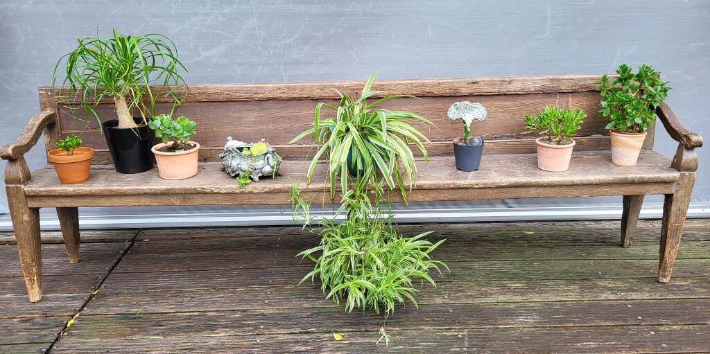 19th-century church pew, 245 cm long