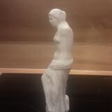 Venus in stone - vintage