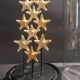 Cabinet de Curiosités globe aux étoiles de mer protoreaster nodosus