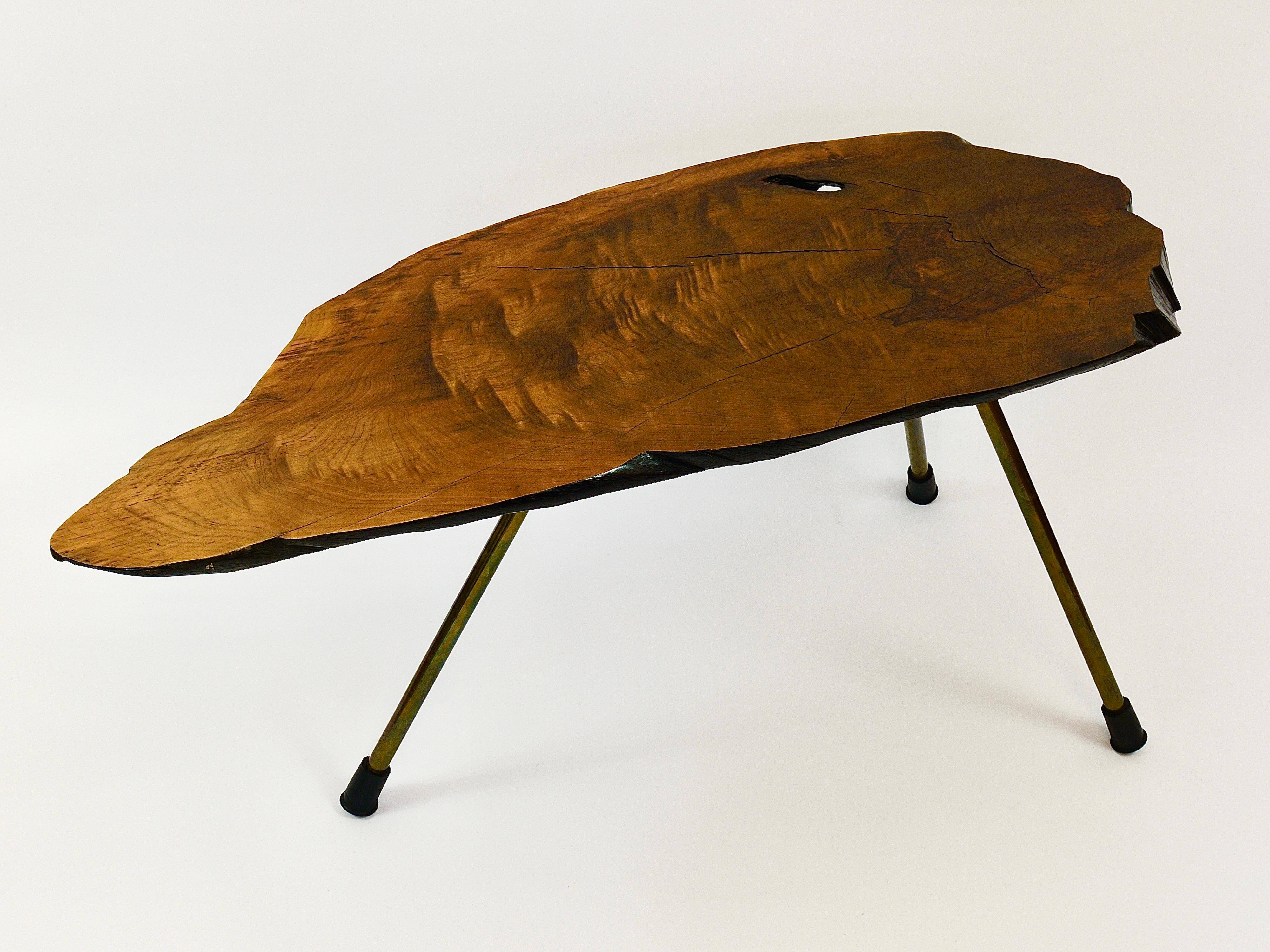 Original coffee table by Carl Aubock, large tree trunk in walnut from the mid-century, 1950s.