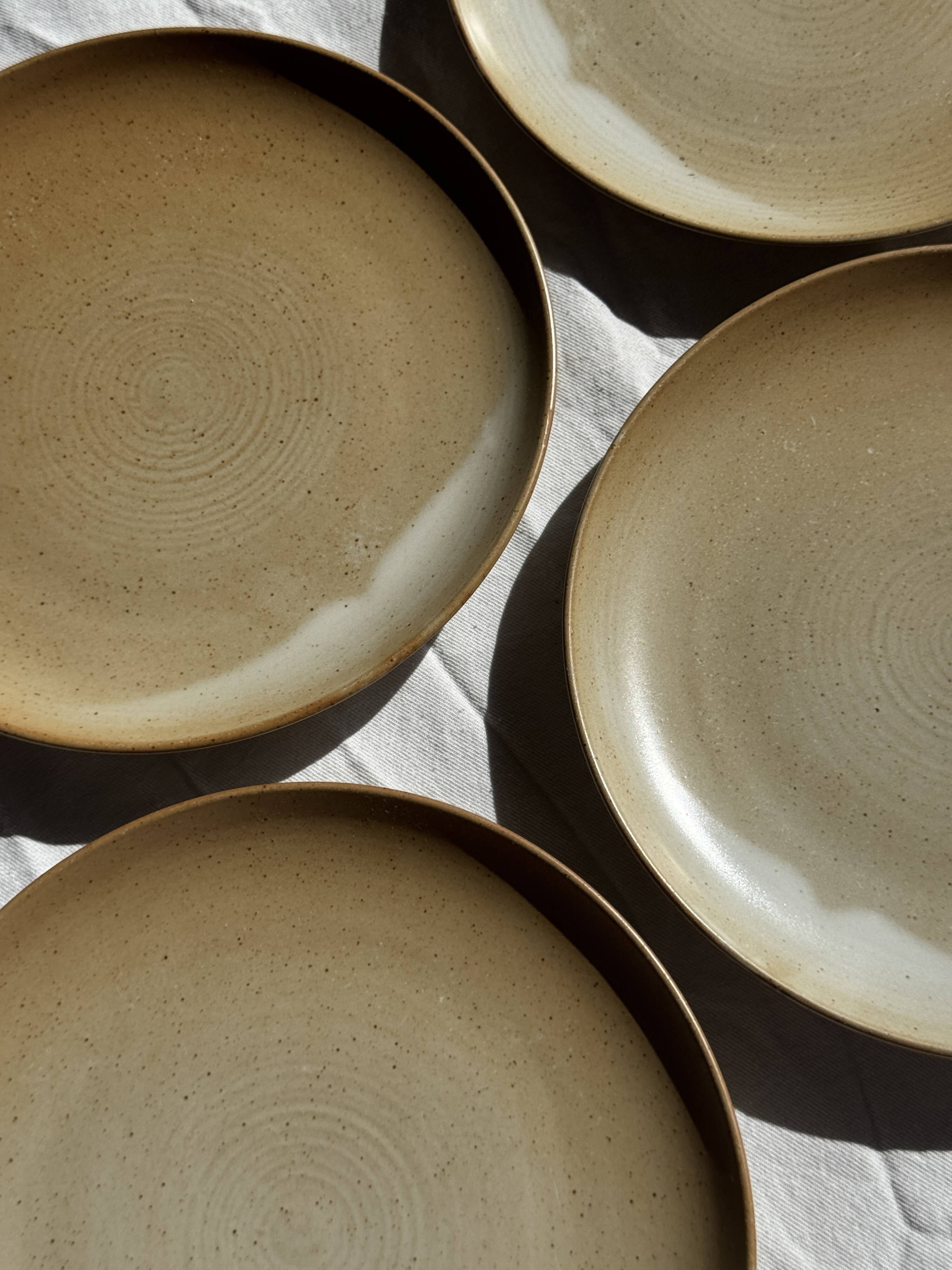 Set of 6 stoneware plates Village France D24