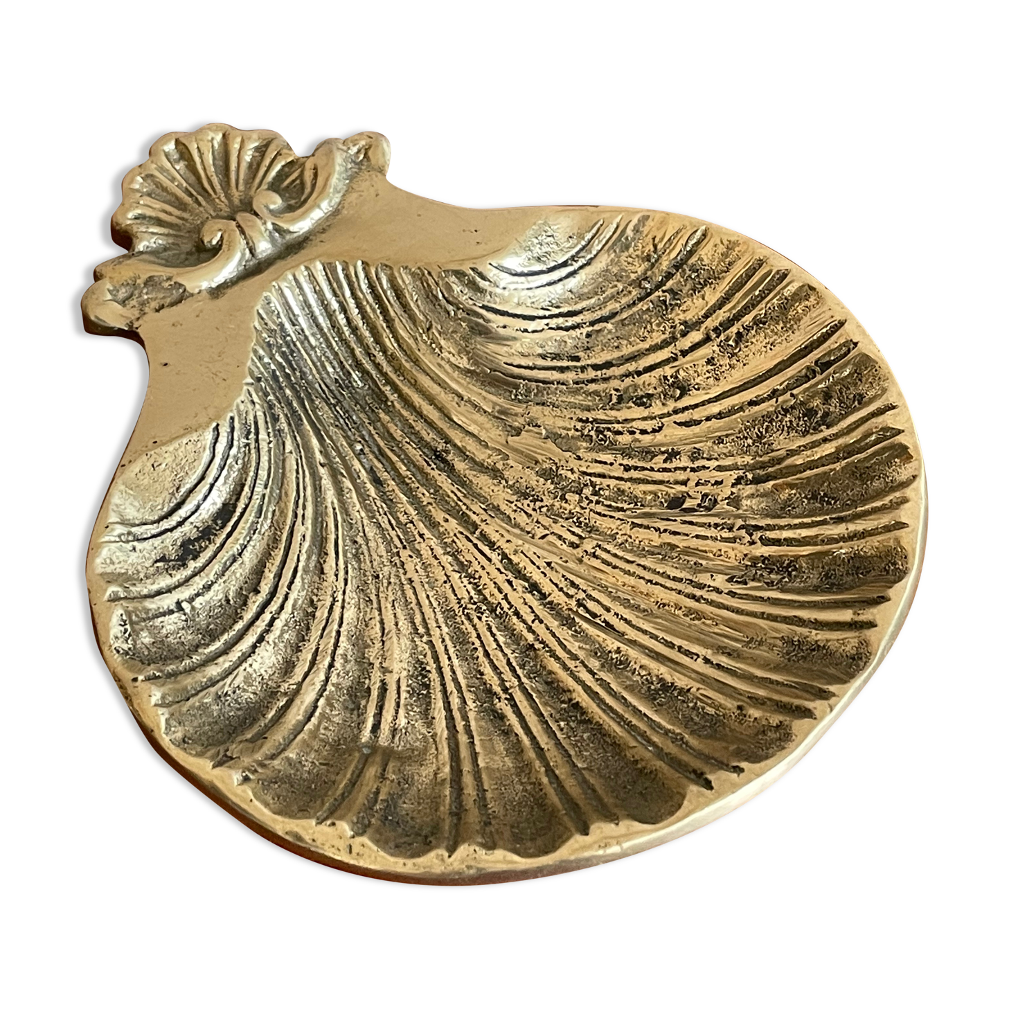 Brass scallop